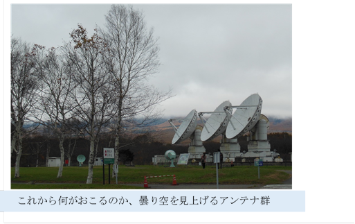  ,���ꂩ�牽��������̂��A�܂������グ��A���e�i�Q